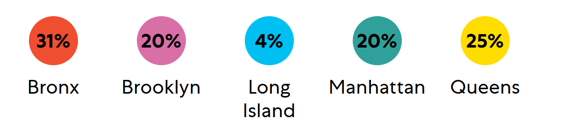 Colorful percentage circles above borough names: Bronx 31%, Brooklyn 20%, Long Island 4%, Manhattan 20%, Queens 25%.