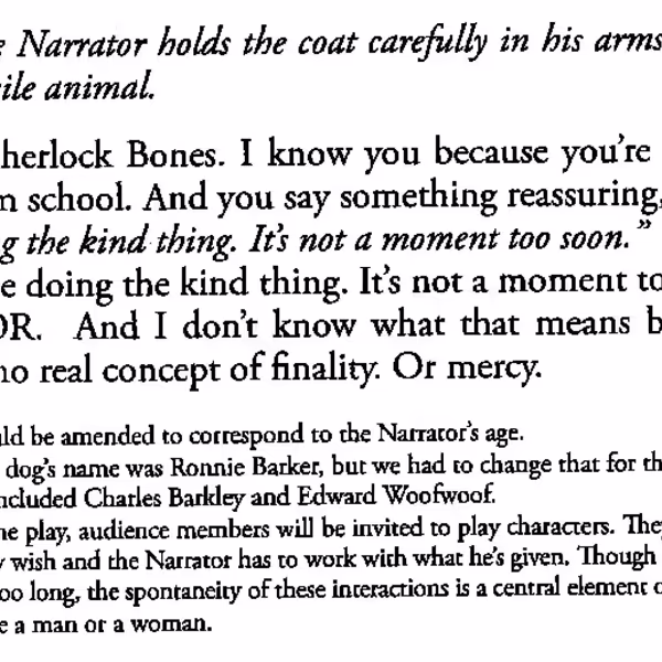 A section of the Every Brilliant Thing script showing its footnotes